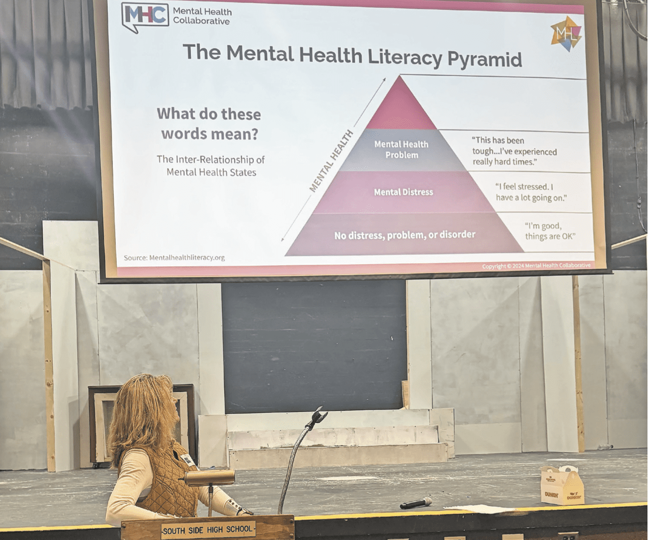 Coaching with care and concern: Mental Health Collaborative in Long Island Schools